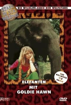 STARMEDIA Elefanten mitie Hawn