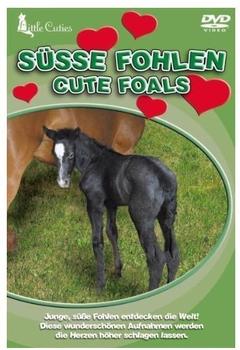 DA Music Little Cuties - Süsse Fohlen