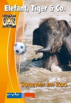 UAP Elefant, Tiger & Co. - Teil 6