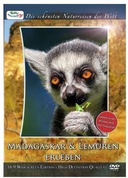 Alive Die schönsten Naturreisen der Welt: Madagaskar & Lemuren erleben