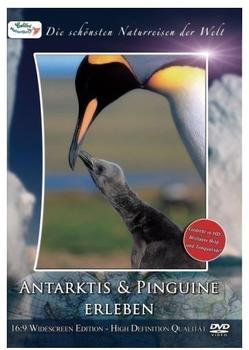 Alive Die schönsten Naturreisen der Welt: Antarktis & Pinguine erleben