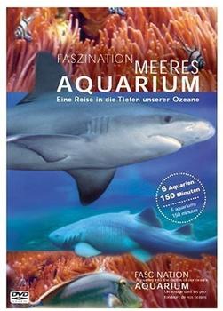 Simon Busch Faszination Meeres Aquarium