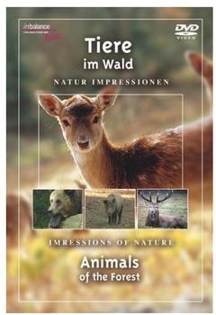 DA Music Tiere im Wald