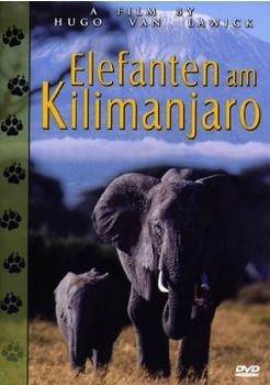 M.I.B. Elefanten am Kilimanjaro
