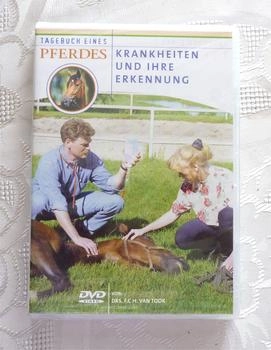 rough trade Tagebuch eines Pferdes 4 - Krankheiten und Erkennung
