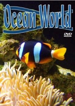 DA Music Ocean World