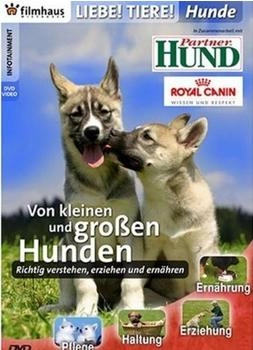 Filmhaus Wiesbaden Liebe Tiere ! - Hunde: Von kleinen und großen Hunden
