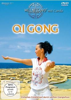Qi Gong - Einfaches Entspannen Durch Sanften Energiefluß [DVD]