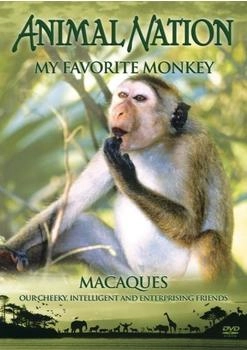 Pegasus Entertainment Animal Nation - My Favourite Monkey [UK IMPORT]