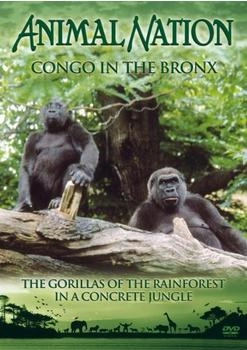 Pegasus Entertainment Animal Nation - Congo In The Bronx [UK IMPORT]