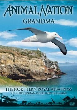 Pegasus Entertainment Animal Nation - Grandma - Northern Royal Albatross [UK IMPORT]