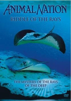Pegasus Entertainment Animal Nation - Riddle Of The Rays [UK IMPORT]
