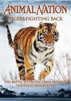 Pegasus Entertainment Animal Nation - Tigers Fighting Back [UK IMPORT]