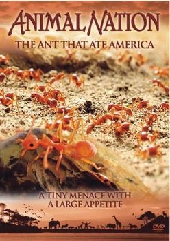 Pegasus Entertainment Animal Nation - The Ant That Ate America [UK IMPORT]