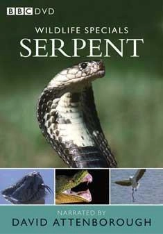 BBC WORLDWIDE Wildlife Special - Serpent [UK IMPORT]