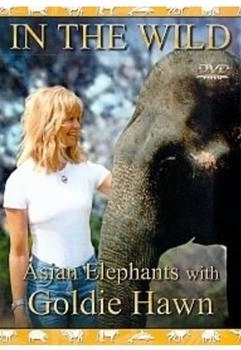 IMC Vision In The Wild - Asian Elephants Withie Hawn [UK IMPORT]