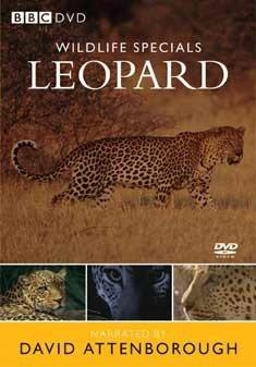 BBC WORLDWIDE Wildlife Special - Leopard [UK IMPORT]
