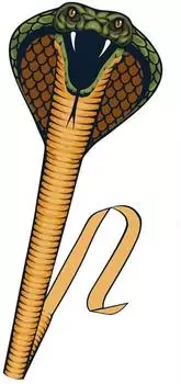 G&uuml;nther Cobra Einleinerdrachen, 69x400cm (1154)