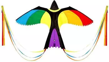 Wolkenstürmer Bonny Bird Kinderdrachen Einleiner, Regenbogen, 130x75cm (WSBONNY)