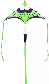 HQ Canard Delta Lime Einleiner-Drachen 295x165cm (106389)