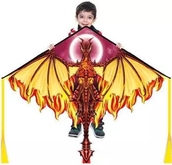 LuxusKollektion Flug-Drache 62-Zoll, einleiner, inkl. 100m Schnur
