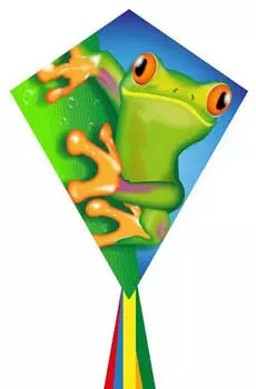 HQ Eddy Froggy Einleiner-Kinderdrachen 70cm (102121)
