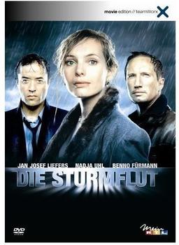 Warner Bros. Die Sturmflut (2 DVDs)