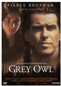 Concord Grey Owl