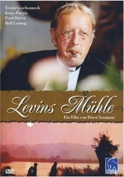 Icestorm Levins Mühle