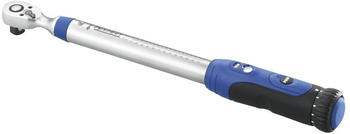 Expert E100107 (20 - 100 Nm)