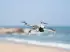 DJI Lito X1 Fly More Combo Plus (DJI RC 2)