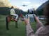 DJI Mini 4 Pro Fly More Combo RC2