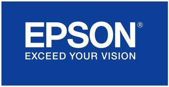 Epson C12C802731