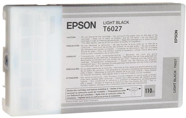 Epson T6027 Schwarz hell