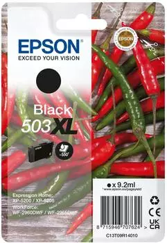 Epson C13T09R14020