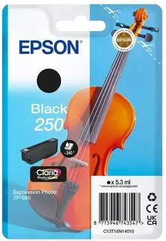 Epson 250 schwarz