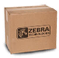 Zebra P1046696-099, Zebra ZE500-4 Druckkopf