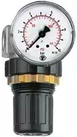 RIEGLER 100773-482.10 B Druckregler &raquo;Standard-mini&laquo;, Schalttafelmutter, G 1/8,