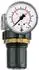 Riegler Druckregler »Standard-mini« Schalttafelmutter G 1/8 0,2-6bar (482.10 B)