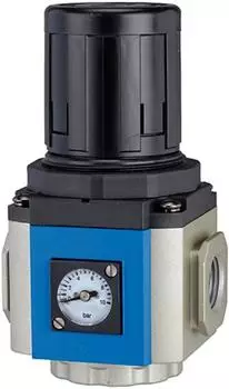 Riegler Druckregler &raquo;G&laquo; mit Manometer, BG 400, G 3/8, 0,5-9 bar (GR 32)