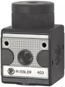 Riegler multifix Druckregler pneumatisch ferngesteuert BG 1, G 1/4 (RI 11)