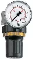 RIEGLER 100777-482.20 B Druckregler &raquo;Standard-mini&laquo;, Schalttafelmutter, G 1/4,