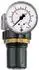 Riegler Druckregler »Standard-mini« Schalttafelmutter G 1/4, 0,2-6 bar (482.20 B)