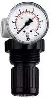 RIEGLER 100764-480.12 Druckregler &raquo;Standard-mini&laquo; inkl. Mano, BG 0, G 1/8,...