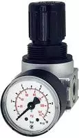 RIEGLER 100339-R 05-10 Druckregler &raquo;multifix-mini&laquo; inkl. Mano, BG 0, G 1/8,...