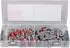 Fischer MiniFixTainer DuoLine Befestigungsset 77-teilig (560098)