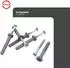 Protektor Schlagdübel-Set Kreuzschlitz 6x40mm, 100 Stück, Stahl silber