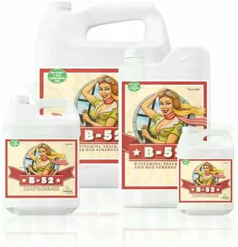 Advanced Nutrients B-52 250 ml (100110_250ML)