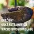 COMPO Bio Rasendünger Unkraut & Moos Nein Danke! 3 kg