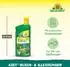 Neudorff Buxus- & Ilex-Dünger Flüssig Azet 1